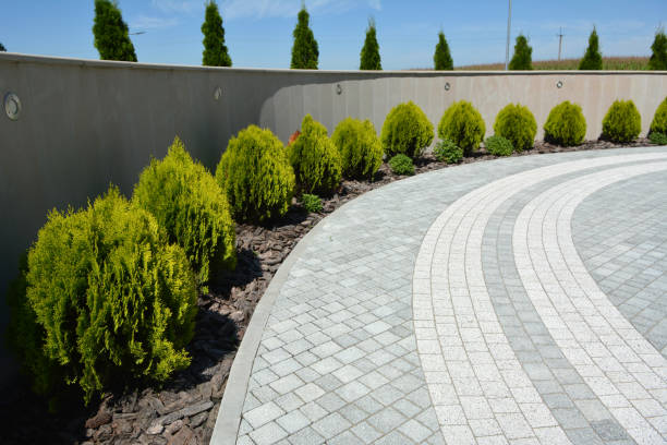 Best Driveway Paving Company  in Decatur, TN